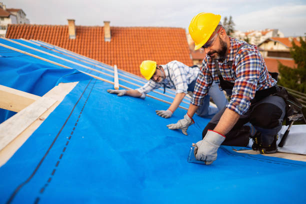 Best Roof Repair Services  in Valley Falls, KS